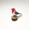 Pássaro Galo-da-Campina em Madeira - 2