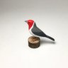 Pássaro Galo-da-Campina em Madeira - 1