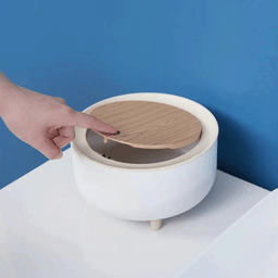 Lixeira de Mesa Portátil Retrô 2 Litros C/ Tampa Pia Cozinha Pgb Lixeira de Mesa Mini - 6