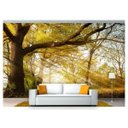 Ver imagem 1 de Papel de Parede Floresta Natureza Árvores 3d 3m² Xna175