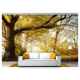 Papel de Parede Floresta Natureza Árvores 3d 3m² Xna175 - 1