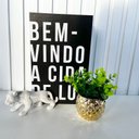 Ver imagem 2 de Decoração Livro Fake, Vaso Cachepô Dourado e Enfeite Puma