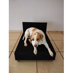 Cama Pet Box 80cm para Pequeno e Grande Porte Espuma D18:preto - 7