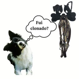 Porta Coleira/chaves Cachorro Border Collie - 2