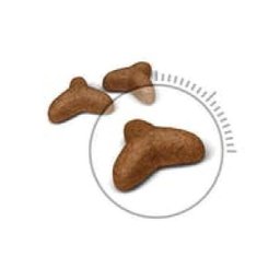 Ração Royal Canin Light Gatos Com Sobrepeso 400G - 2