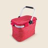 Bolsa Térmica Listrada Vermelho e Rosa 26l - A\casa - 2