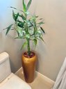 Ver imagem 2 de Vaso Decorativo Fibra de Vidro Florida P 65cm Ouro Brilho Lindo Vaso