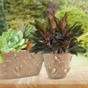 Ver imagem 2 de Vaso Planta Jarro Cachepot Flores Borboleta 3D 2,5L Plasvale
