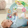 Tapete Ginasio Para Bebê Infantil Divertido Sensorial Educativo Bicho Preguiça Fisher Price - 4