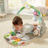 Tapete Ginasio Para Bebê Infantil Divertido Sensorial Educativo Bicho Preguiça Fisher Price - 5