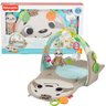 Tapete Ginasio Para Bebê Infantil Divertido Sensorial Educativo Bicho Preguiça Fisher Price - 1