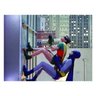 TELA MOVIE BATMAN AND ROBIN CLIMBING THE BUILDING 50 X 70 X BTC Decor - 1