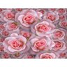 Papel de Parede Flores Rosas Romantico 3d Nfl224 - 2