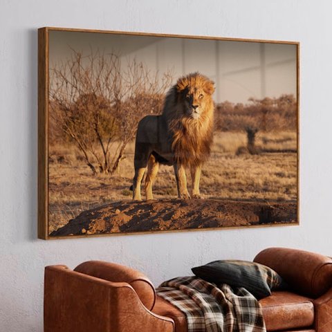 Quadro Decorativo Leão Predador em Moldura Caixa Tacolado Moldura Trad 1cm Branca com Vidro 30 X 40c