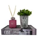 Ver imagem 1 de Livro decorativo Casa + vaso prata de vidro + difusor rosa