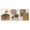 Kit 3 Quadros Decorativos Plantas Formas e Linhas Boho - 1
