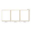 Ver imagem 3 de Kit 3 Quadros Decorativos Plantas Formas e Linhas Boho