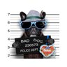 Papel De Parede Animais Bulldog Bad Dog 3D 6M² Anm146 - 2