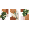 Tríptico - Quadros Decorativos Floral Costela de Eva Grande:Branco - 4