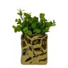 Vaso Decorativo Quadrado de Cerâmica Dourado com Planta - 3
