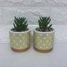 Conjunto de dois vasos de cimento com estampa geométrica dourada - 4
