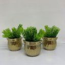 Ver imagem 1 de Conjunto de três vasos dourados com planta