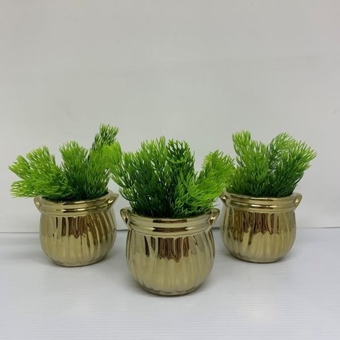Conjunto de três vasos dourados com planta