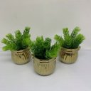 Ver imagem 2 de Conjunto de três vasos dourados com planta