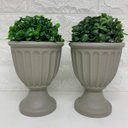 Ver imagem 1 de Conjunto de dois vasos na cor cinza com planta