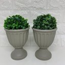 Ver imagem 2 de Conjunto de dois vasos na cor cinza com planta