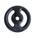 Ver imagem 1 de Anilha Ferro Fundido Pintada Academia 5,0 Kg