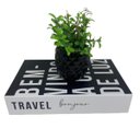 Ver imagem 1 de Conjunto livro decorativo e vaso preto trabalhado com planta
