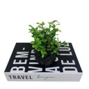 Ver imagem 4 de Conjunto livro decorativo e vaso preto trabalhado com planta
