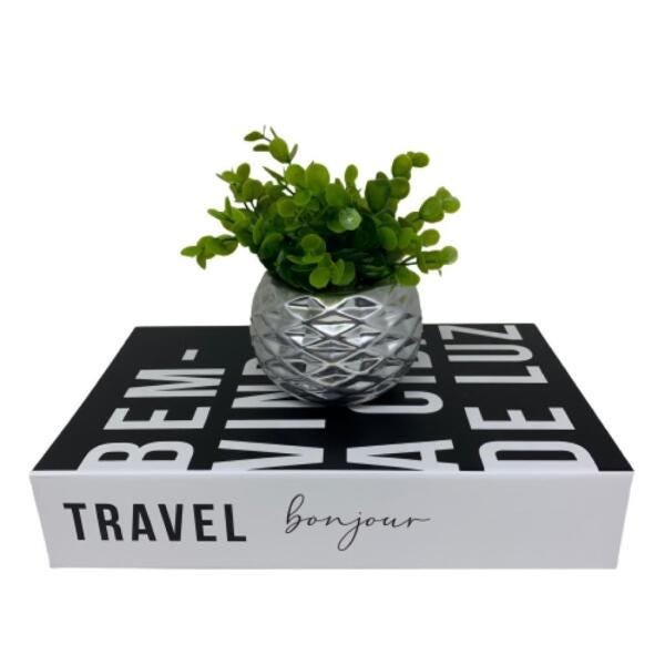 Conjunto livro decorativo e vaso prata geométrico com planta