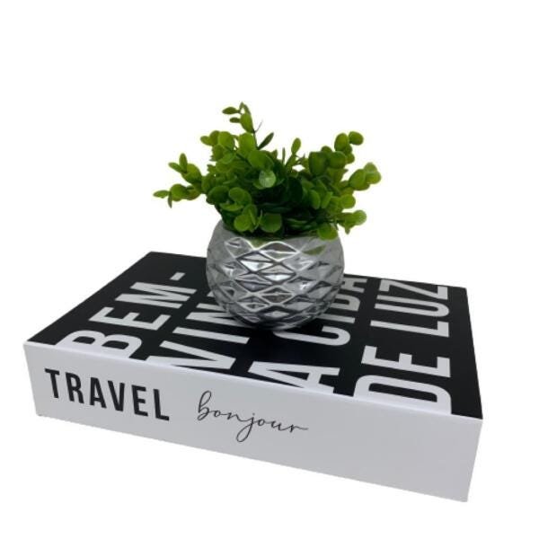 Conjunto livro decorativo e vaso prata geométrico com planta - 2