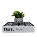 Ver imagem 5 de Conjunto livro decorativo e vaso prata geométrico com planta