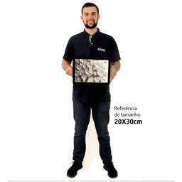 Quadro Decorativo Floral Luxo Primavera Branca em Moldura Caixa Tacolado Moldura Caixa 3cm Branca Se - 2