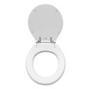 Ver imagem 3 de Assento Sanitário Poliéster Fenix Ravena/studio Gelo