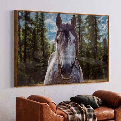 Quadro Decorativo Cavalo em Moldura Caixa Tacolado Moldura Trad 1cm Madeira Escura sem Vidro 30 X 40