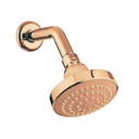 Ver imagem 1 de Ducha Fria Lorenzetti Flatt 7001 F16 – Parede:red Gold
