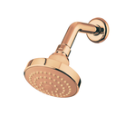 Ver imagem 3 de Ducha Fria Lorenzetti Flatt 7001 F16 – Parede:red Gold