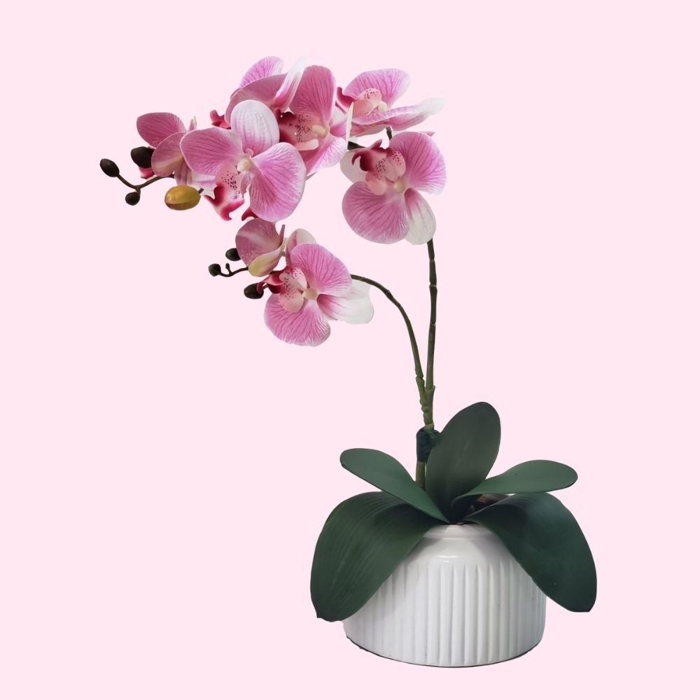 Arranjo de Orquídea de silicone flor artificial no vaso - Rosa - 2