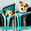 Ver mais imagens de Bolsa de Viagem para Transporte Pet - Verde