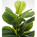 Ver imagem 4 de Planta Artificial Lyrata Ficus Folhagem Larga 170cm Arvore