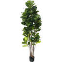 Ver imagem 1 de Planta Artificial Lyrata Ficus Folhagem Larga 170cm Arvore