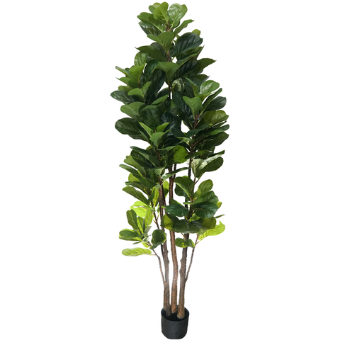 Planta Artificial Lyrata Ficus Folhagem Larga 170cm Arvore