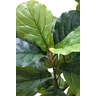 Planta Artificial Lyrata Ficus Folhagem Larga 170cm Arvore - 5