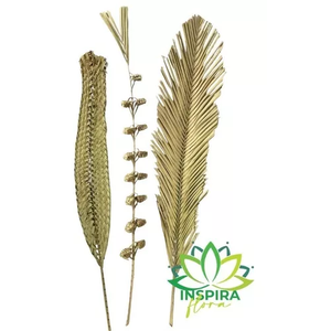 3 Folhas de Palmeira Latania Painel Vertical Composição Holo