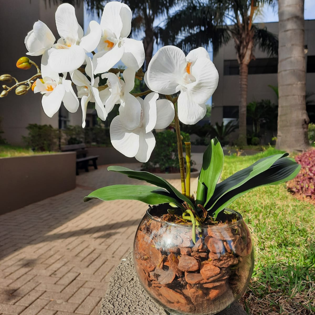 Arranjo de Orquídea Artificial Branca 60cm com Vaso de Vidro - 2