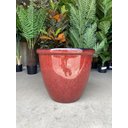 Ver imagem 7 de Vaso Decorativo para Plantas Grandes Auto Brilho para Sala (liso/terrracota)